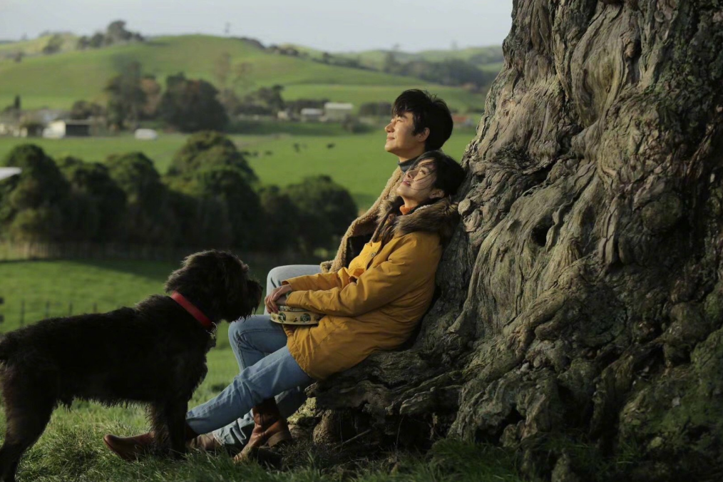 1579757363.png 1579757363.png