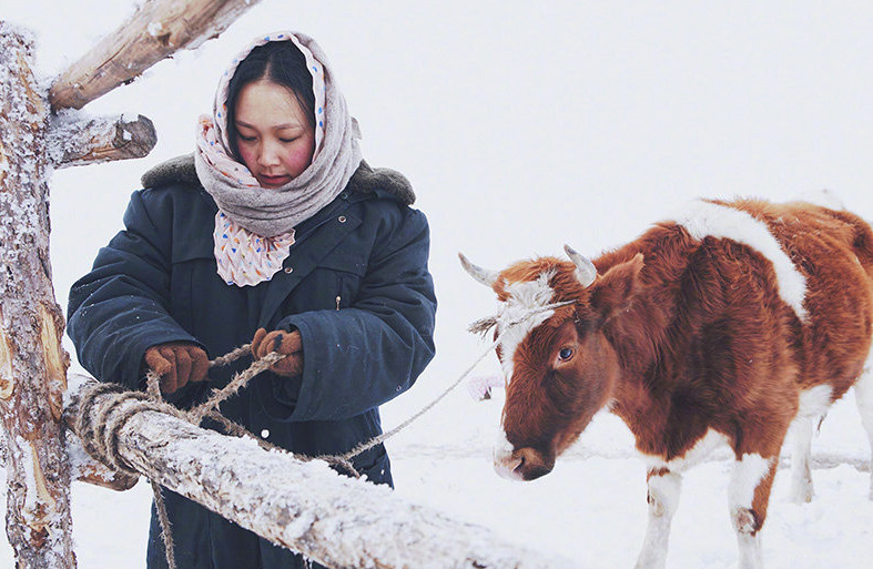 1581597100.png 1581597100.png