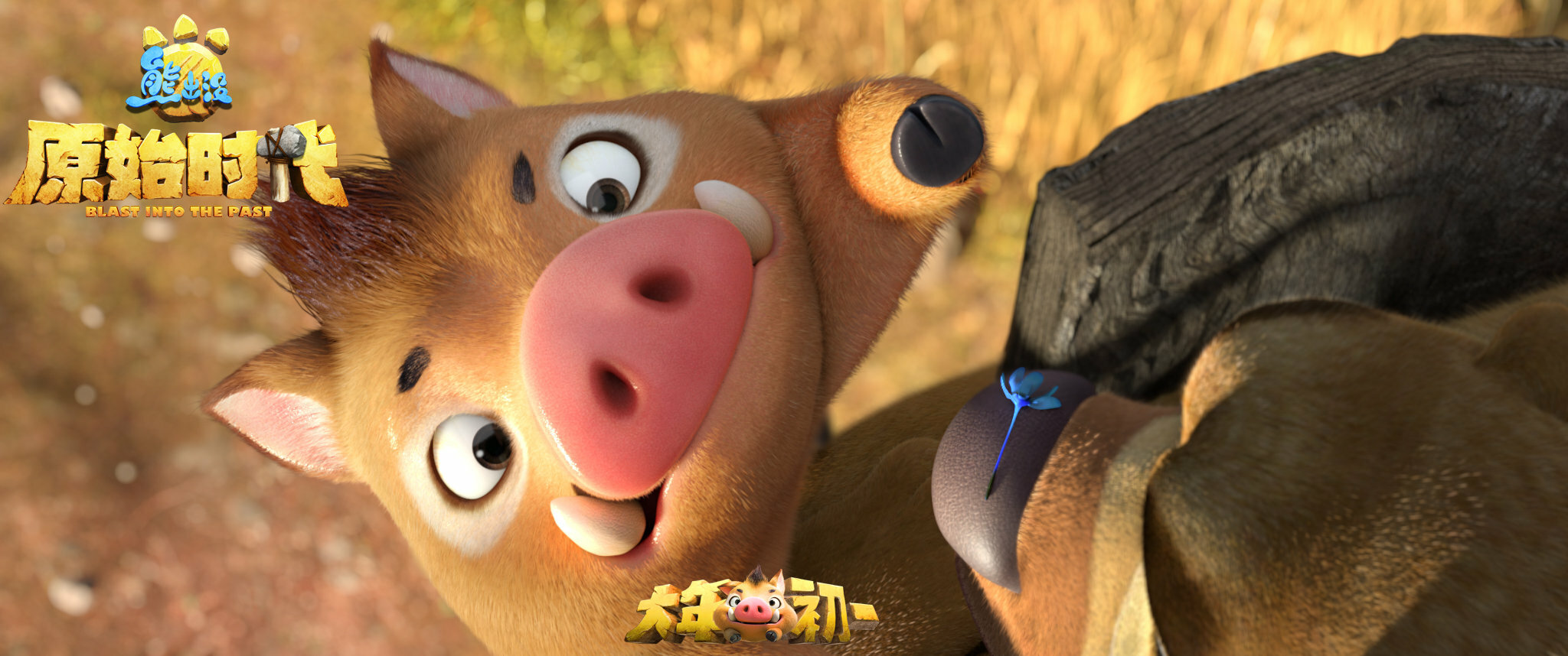 1600862089.jpg 1600862089.jpg