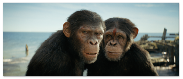 1715749005.png image.png