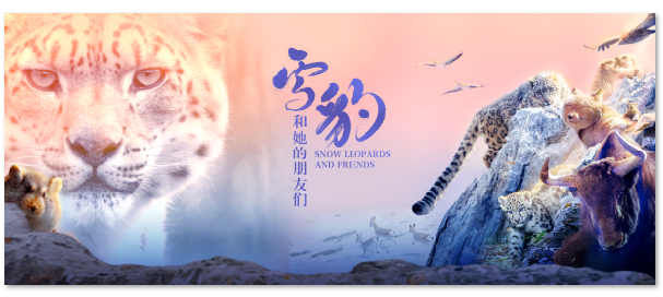 1720580647.png image.png