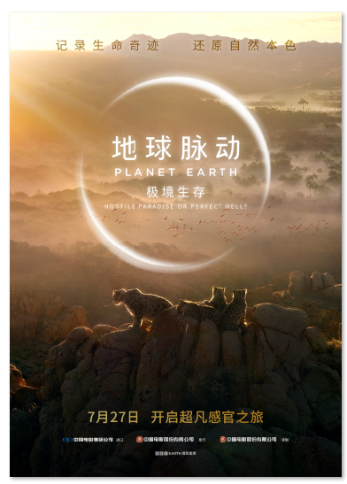 1720592074.png image.png