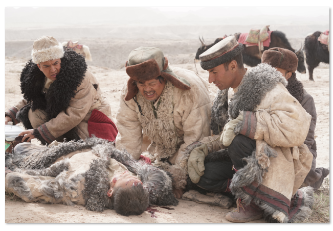 1722995412.png image.png