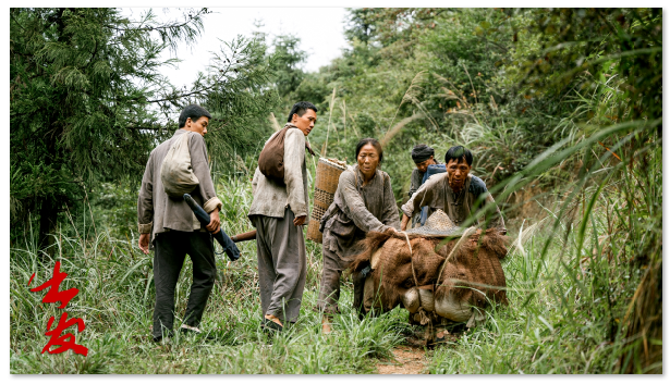 1723551811.png image.png