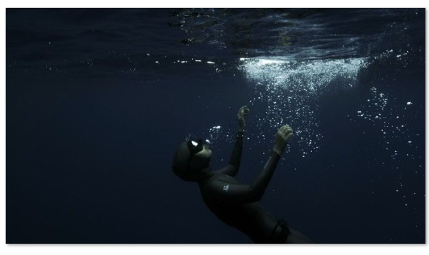 1729664267.png image.png