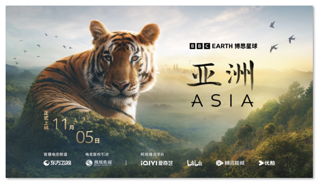 1730864235.png image.png