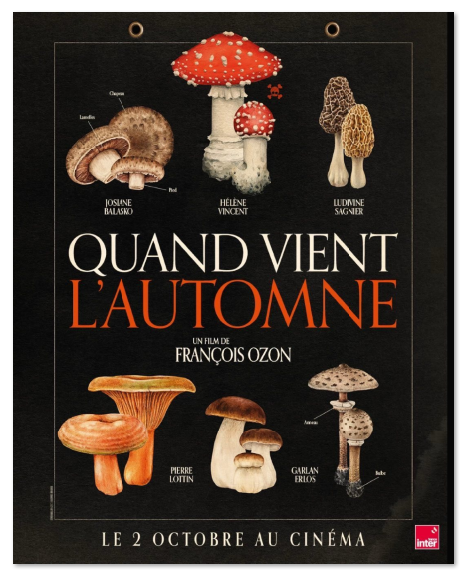 1732091864.png image.png